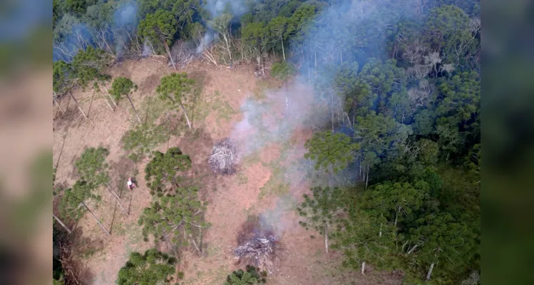 Foram duas sessões de sobrevoo, de quatro horas cada uma, por 11 municípios da região