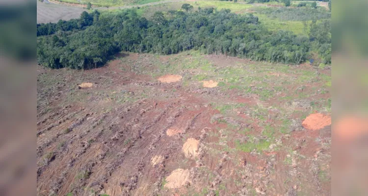 Foram duas sessões de sobrevoo, de quatro horas cada uma, por 11 municípios da região