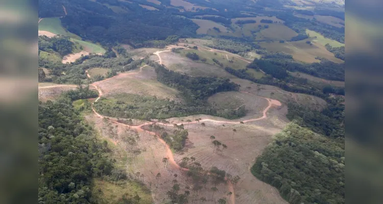 Foram duas sessões de sobrevoo, de quatro horas cada uma, por 11 municípios da região