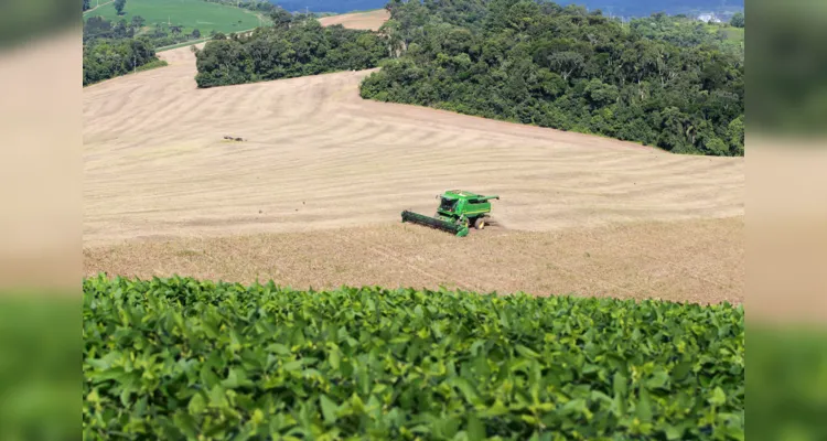 As propostas para o plano safra foram encaminhadas, no dia 27 de fevereiro, ao Ministério da Agricultura e Pecuária (Mapa).