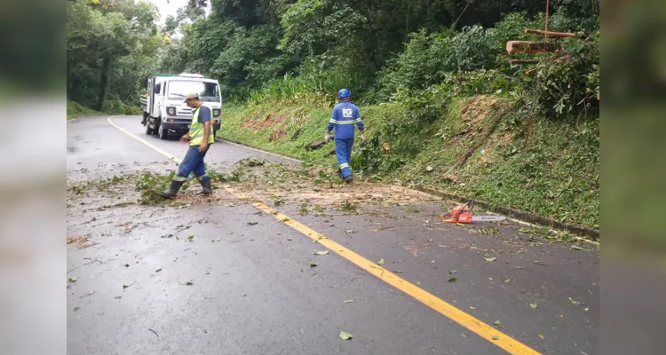 A rodovia havia sido interditada na última quarta-feira (15)