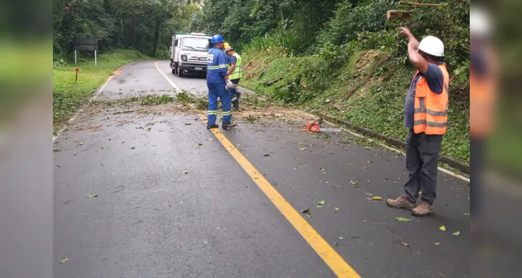 A rodovia havia sido interditada na última quarta-feira (15)