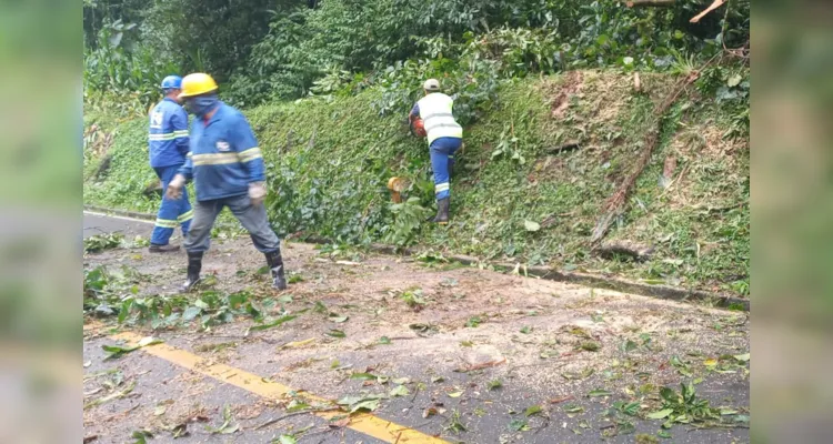 A rodovia havia sido interditada na última quarta-feira (15)