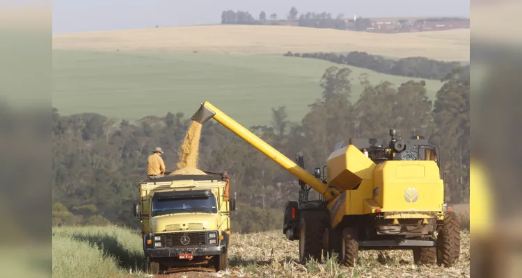 As propostas para o plano safra foram encaminhadas, no dia 27 de fevereiro, ao Ministério da Agricultura e Pecuária (Mapa).