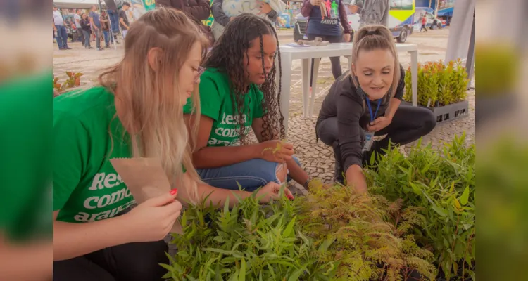 Foram 600 mudas de seis espécies de plantas para o evento, com 100 mudas de cada planta