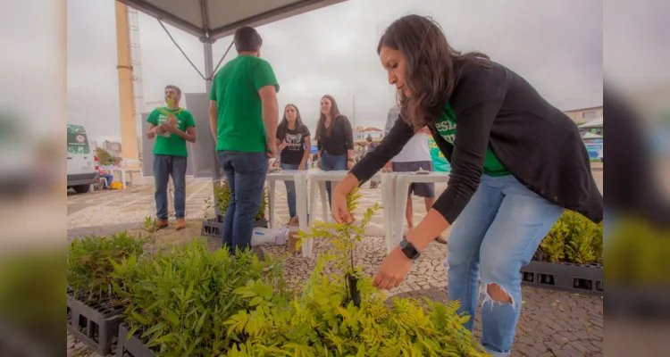 Foram 600 mudas de seis espécies de plantas para o evento, com 100 mudas de cada planta