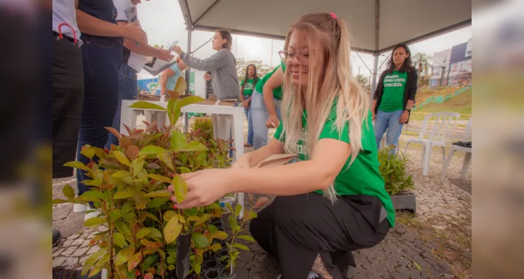 Foram 600 mudas de seis espécies de plantas para o evento, com 100 mudas de cada planta