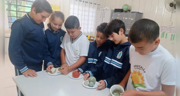 Turma pôde compreender abrangência (e importância) do assunto por meio de práticas