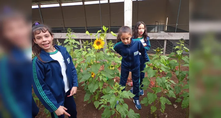 Alunos participaram e protagonizaram todas as etapas: do preparo do solo até a entrega das flores