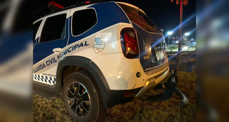 Dois agentes de segurança estavam no veículo da Guarda Municipal, na hora do acidente.