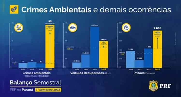 Crimes ambientais