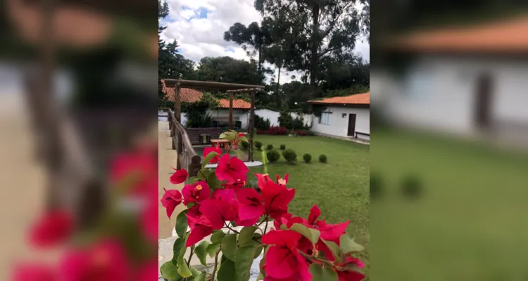 Contato com a natureza é um dos diferenciais da Chácara Paraíso.