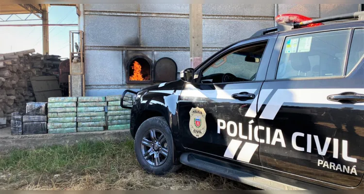 Incineração foi em conformidade com a Lei de Drogas.