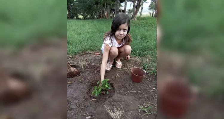 Trabalho em sala e com familiares em casa contribuiu para ampliar ainda mais ação ambiental