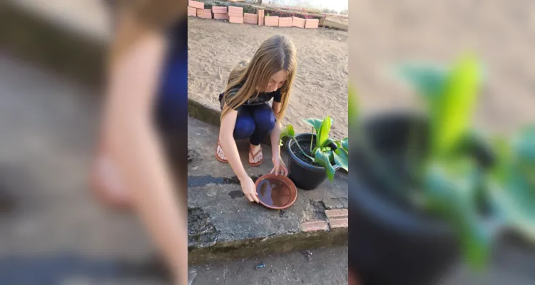 Temática tem grande apelo na rede municipal de ensino de Jaguariaíva