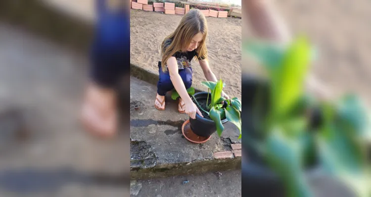 Temática tem grande apelo na rede municipal de ensino de Jaguariaíva
