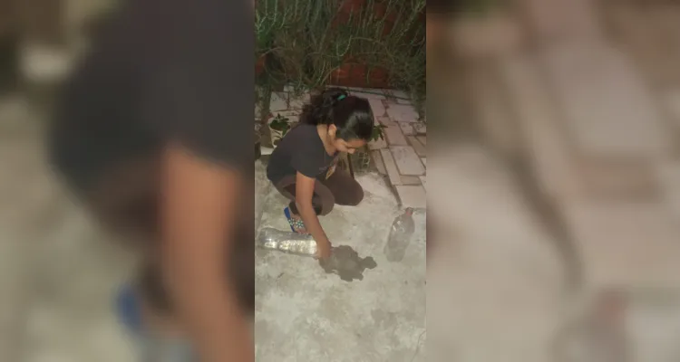 Temática tem grande apelo na rede municipal de ensino de Jaguariaíva