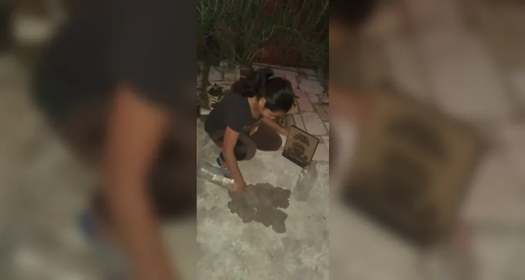 Temática tem grande apelo na rede municipal de ensino de Jaguariaíva