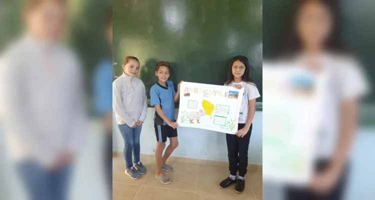 Os alunos fizeram pesquisas e elaboraram mapas mentais sobre os climas e biomas das regiões brasileiras