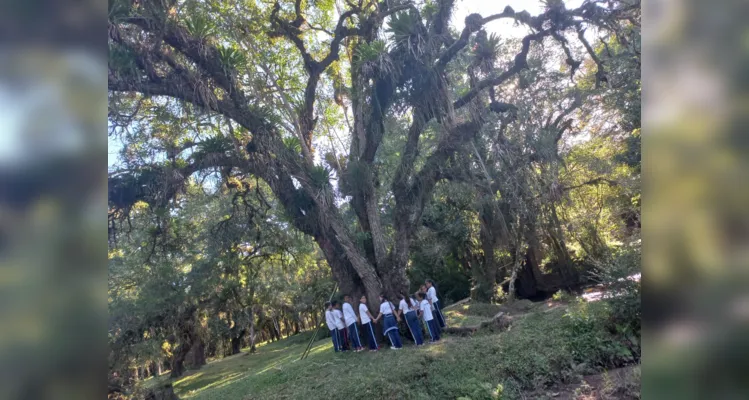 Propostas ocorreram dentro e fora da sala de aula, ampliando conhecimento dos alunos