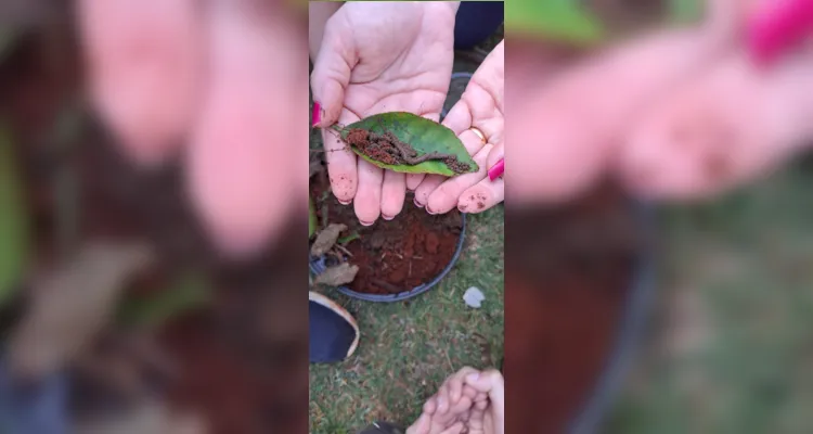 Devido ao grande interesse dos alunos sobre a minhoca, personagem principal da história apresentada pela professora, foram realizadas pesquisas sobre o invertebrado e confeccionado um minhocário na escola