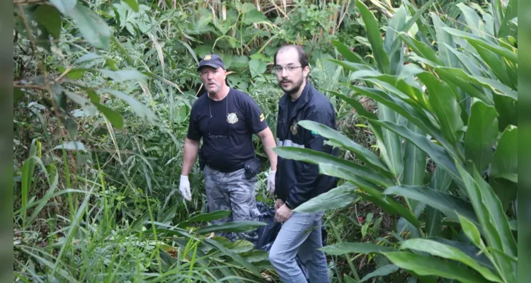 Conhecido como 'caçador de tesouros', homem usava máquina para encontrar metais preciosos em 