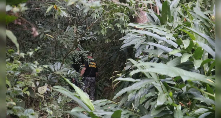 Restos mortais são encontrados em córrego de Ponta Grossa