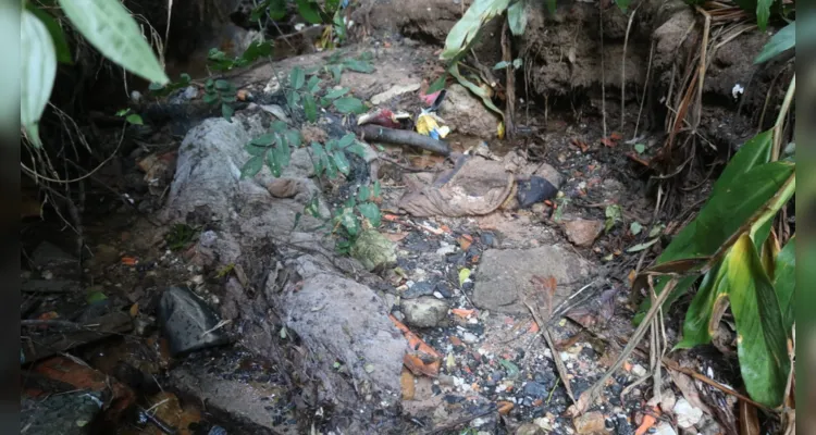 Restos mortais são encontrados em córrego de Ponta Grossa