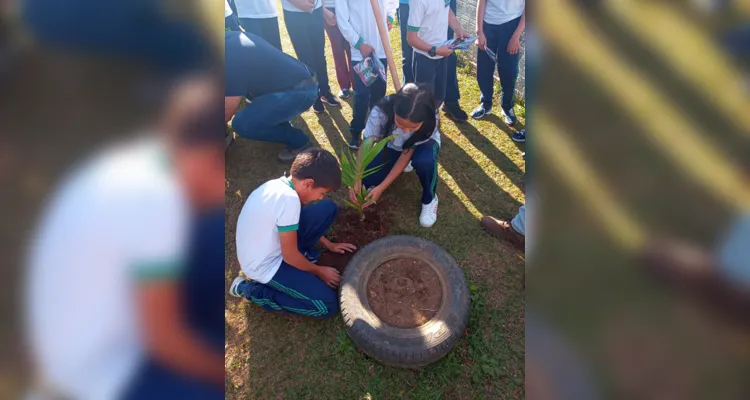 Diversos momentos e etapas marcaram trabalho dos alunos acerca da temática