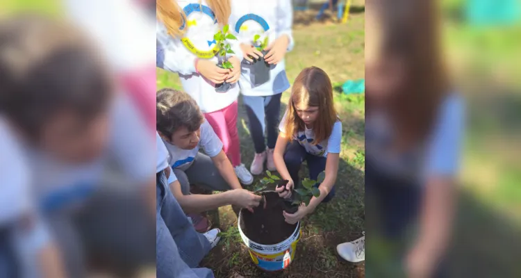 Docente destaca que realiza o mesmo projeto todos os anos com suas turmas