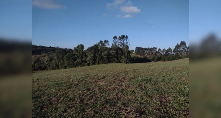 Estudantes fizeram registros da Mata Atlântica do lugar de onde vivem