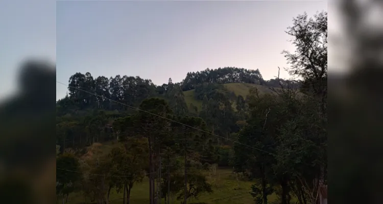 Estudantes fizeram registros da Mata Atlântica do lugar de onde vivem