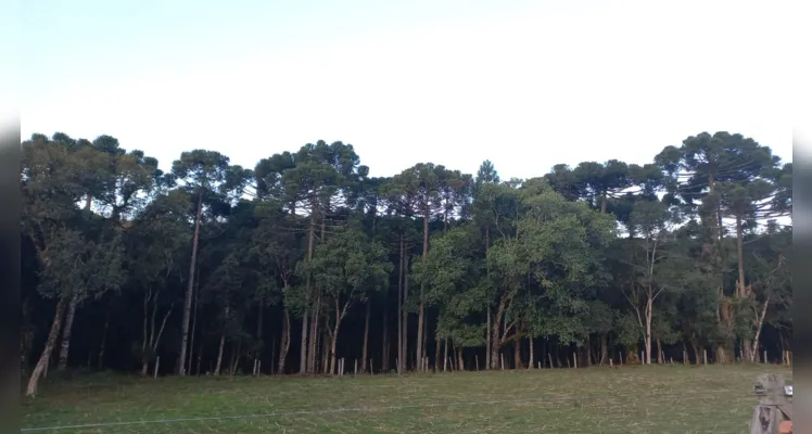 Estudantes fizeram registros da Mata Atlântica do lugar de onde vivem