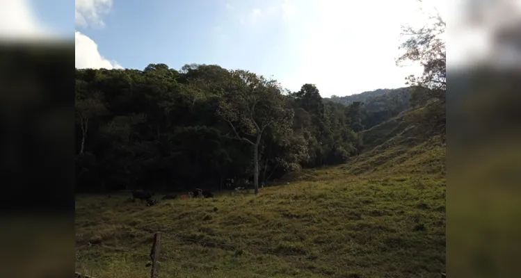 Estudantes fizeram registros da Mata Atlântica do lugar de onde vivem