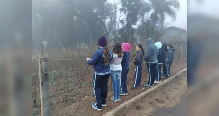 Dinâmicas dentro e fora da sala de aula 'aqueceram' conhecimento dos estudantes