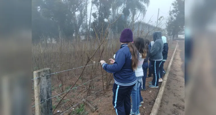 Dinâmicas dentro e fora da sala de aula 'aqueceram' conhecimento dos estudantes