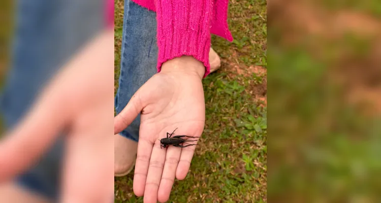 Dinâmica envolveu diversos momentos, o que ampliou sede de conhecimento da turma