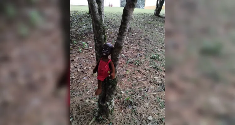 Diversos momentos e conteúdos abrilhantaram a saída a campo dos educandos