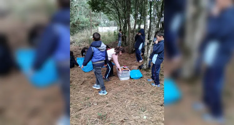 Diversos momentos e conteúdos abrilhantaram a saída a campo dos educandos