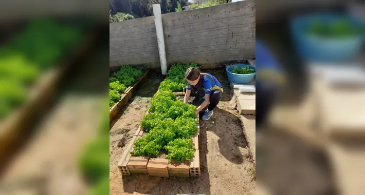 Os alunos realizam o plantio e venda dos alimentos, trabalhando conceitos de sustentabilidade e educação financeira