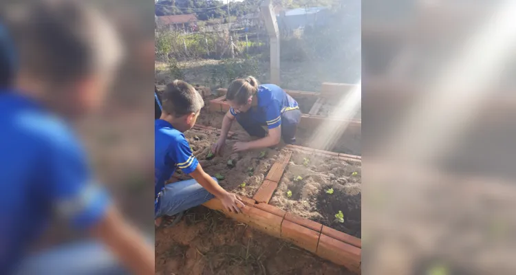 Os alunos realizam o plantio e venda dos alimentos, trabalhando conceitos de sustentabilidade e educação financeira