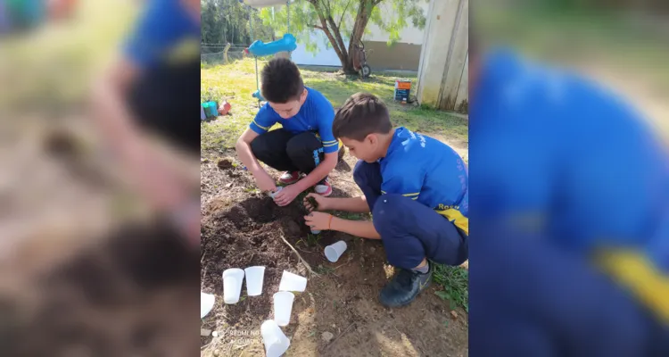 Os alunos realizam o plantio e venda dos alimentos, trabalhando conceitos de sustentabilidade e educação financeira