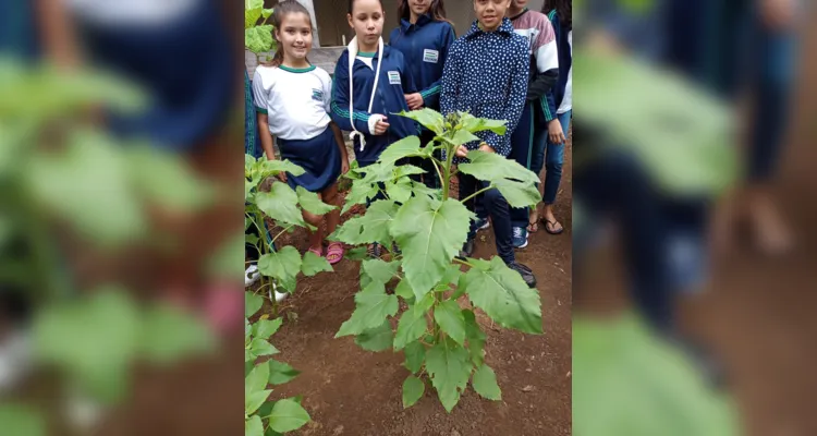 Alunos participaram e protagonizaram todas as etapas: do preparo do solo até a entrega das flores