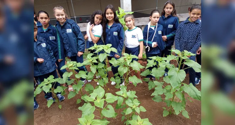 Alunos participaram e protagonizaram todas as etapas: do preparo do solo até a entrega das flores