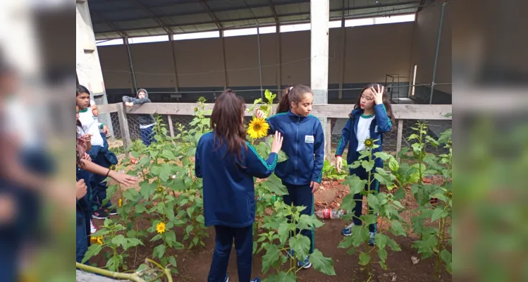 Alunos participaram e protagonizaram todas as etapas: do preparo do solo até a entrega das flores