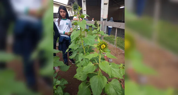 Alunos participaram e protagonizaram todas as etapas: do preparo do solo até a entrega das flores