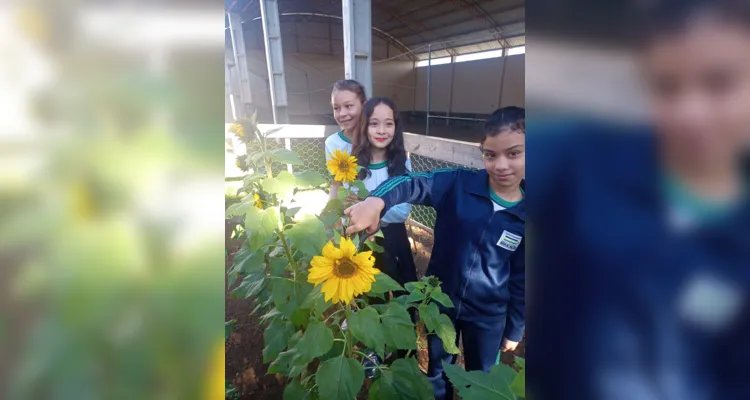 Alunos participaram e protagonizaram todas as etapas: do preparo do solo até a entrega das flores