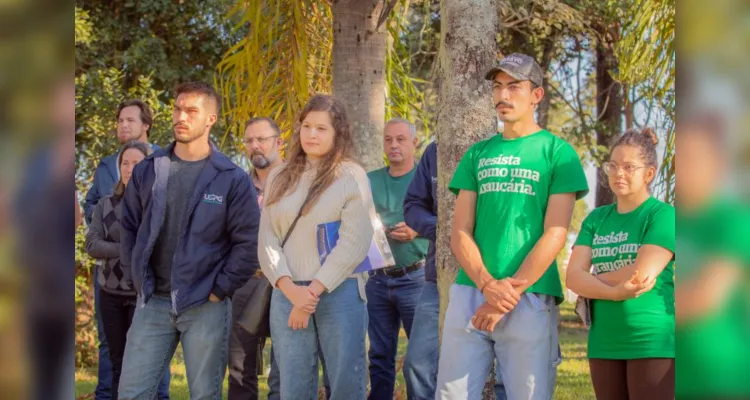 O plantio foi realizado no Bosque das Araucárias no Campus Uvaranas e bosque do Bairro Cará-Cará, na região do Parque dos Pinheiros