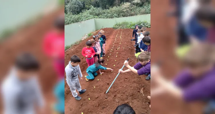 Educandos contribuíram efetivamente nos processos de plantio e cuidado da horta