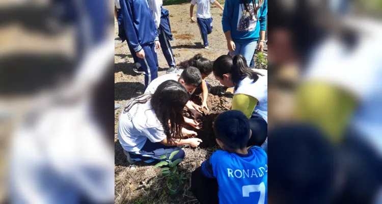 Ações dentro e fora da sala de aula contribuíram efetivamente para conscientização ambiental